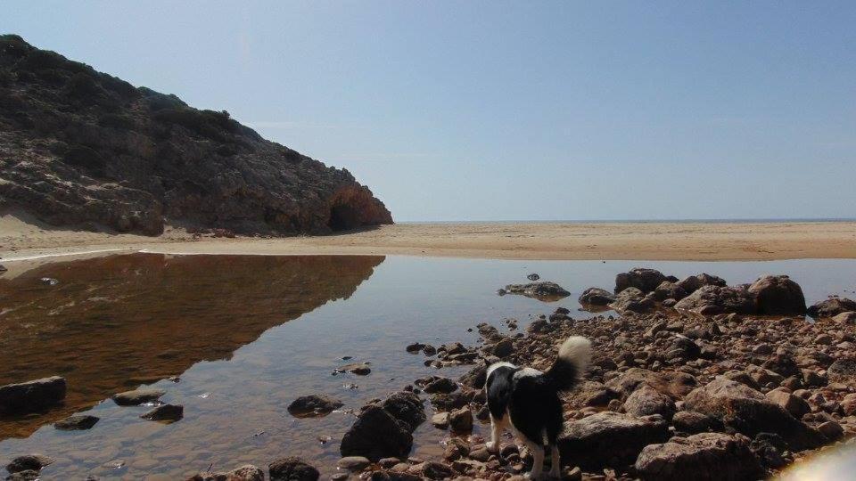 Casa Mestre Vila do Bispo Eksteriør bilde